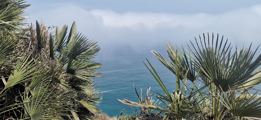 Best time to visit Spain