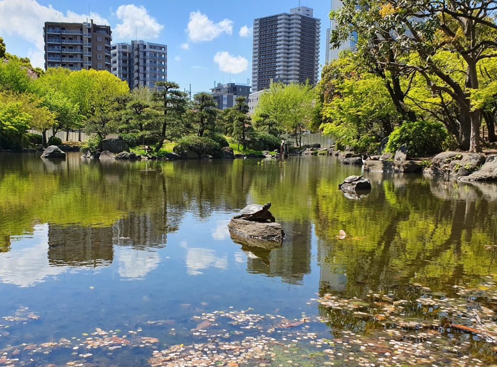 Sumida Park