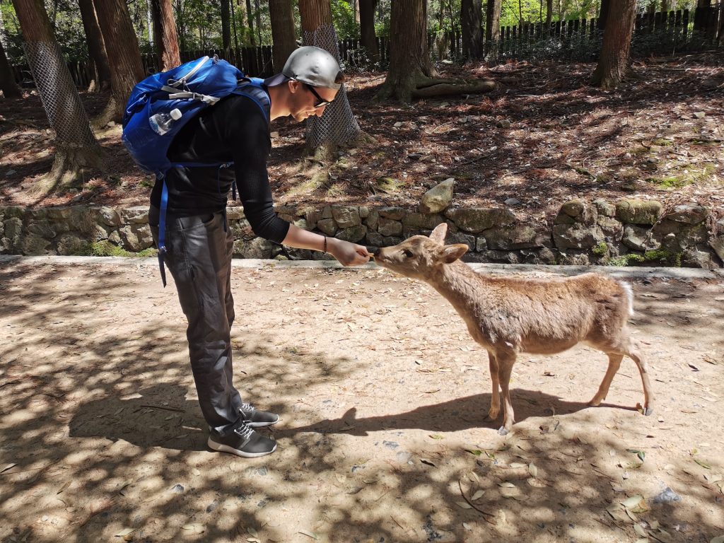 Nara Park
