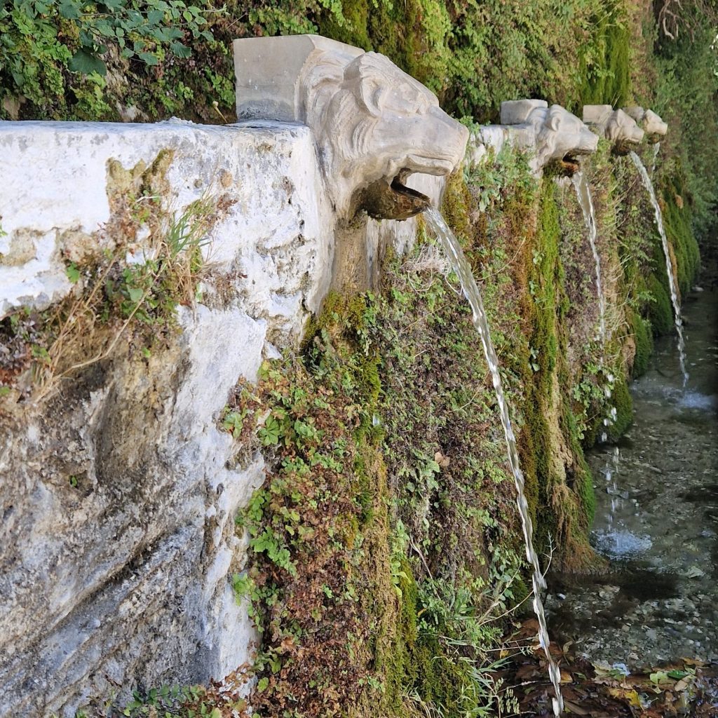 Menites in andros greece