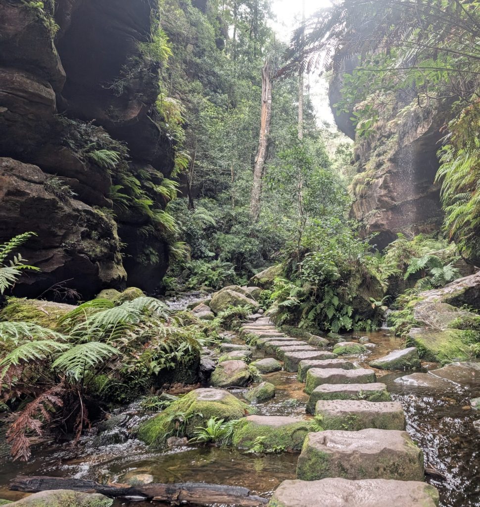 Blue mountains hike - travel australia