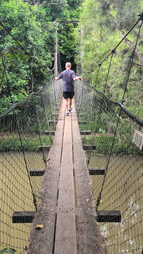 Peterson Creek Wildlife Walk - travel australia