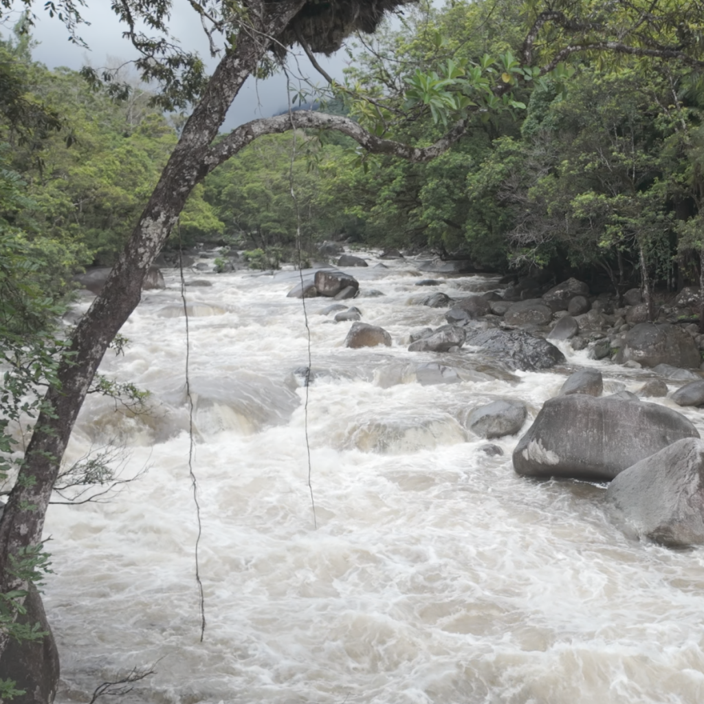 Mossman Gorge - travel australia